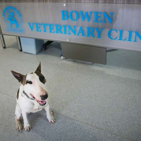 Photo: Bowen Veterinary Clinic