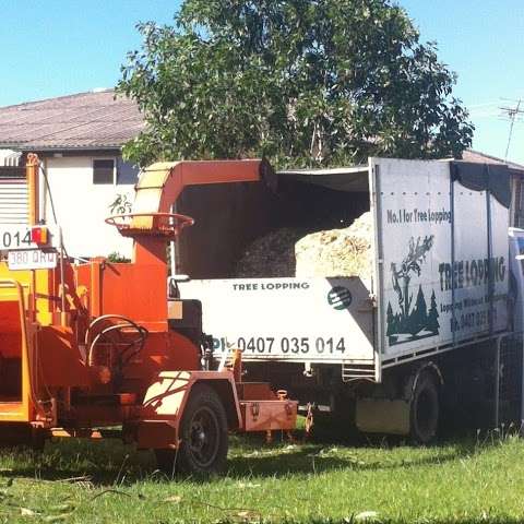 Photo: Ayr-Bowen Tree & Yardworx